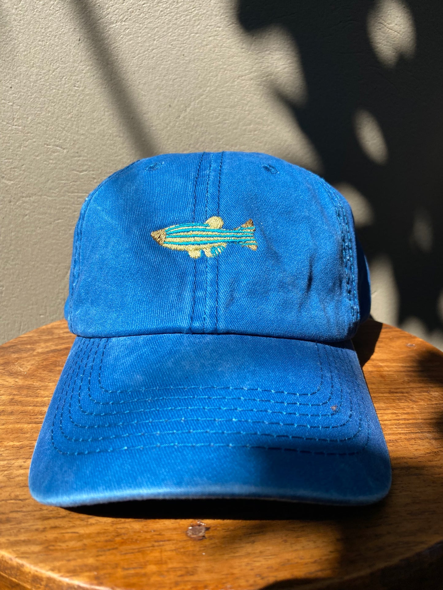 Fish Washed Cap
