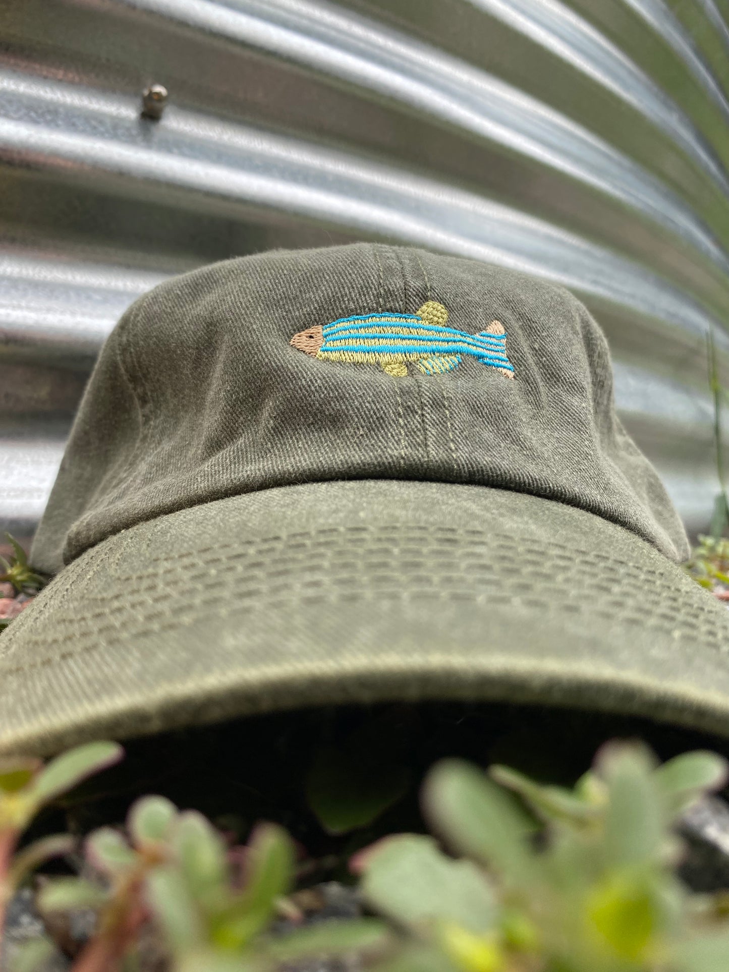 Fish Washed Cap