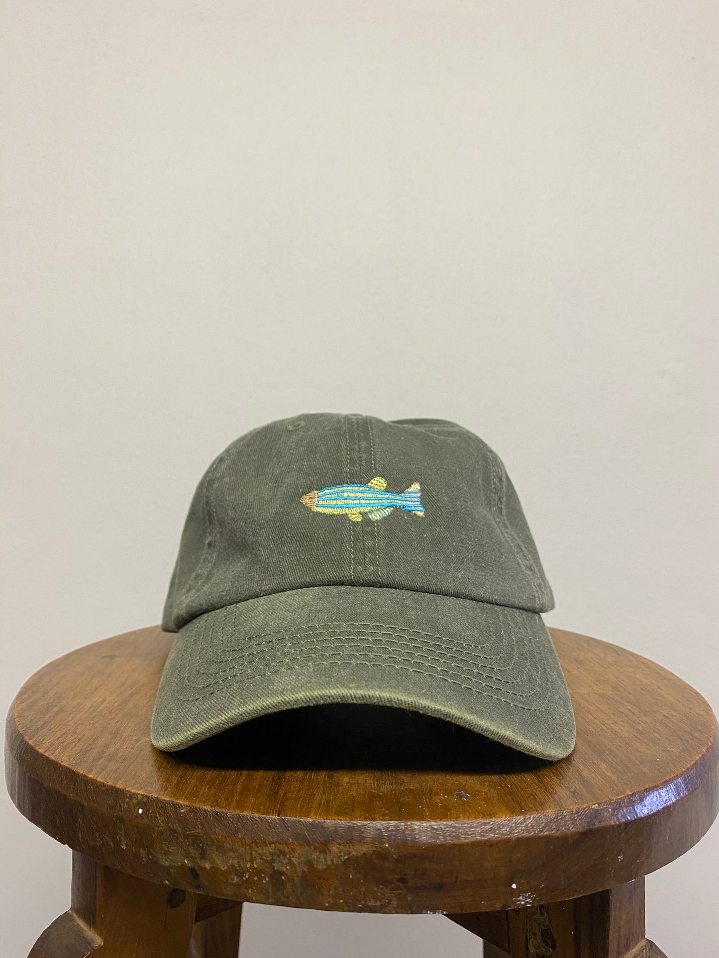 Fish Washed Cap