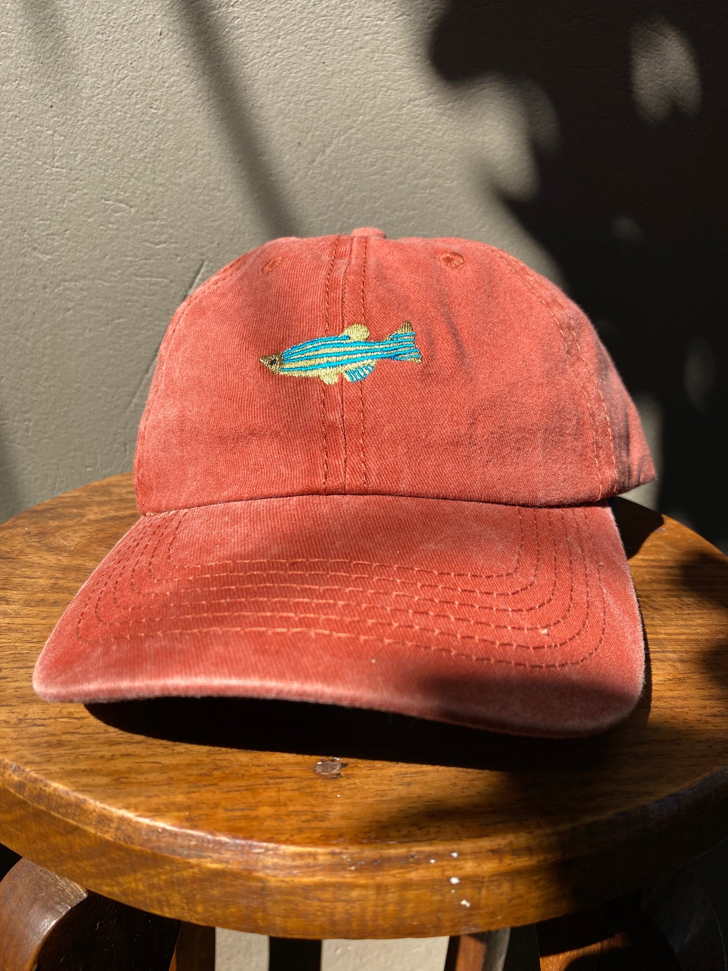 Fish Washed Cap