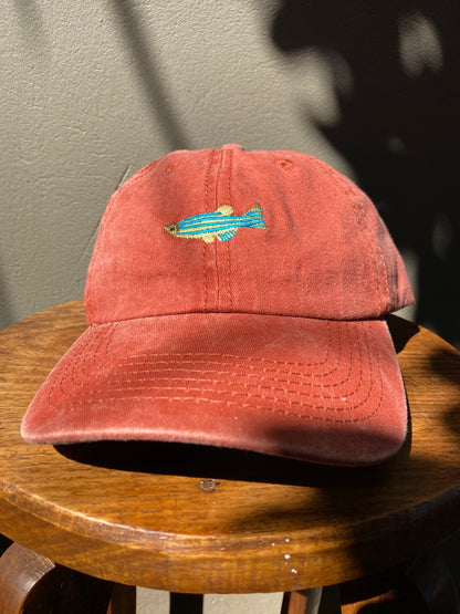 Fish Washed Cap