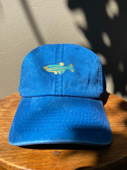 Fish Washed Cap