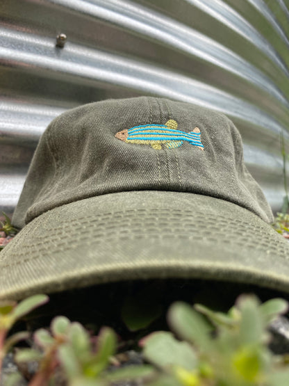 Fish Washed Cap