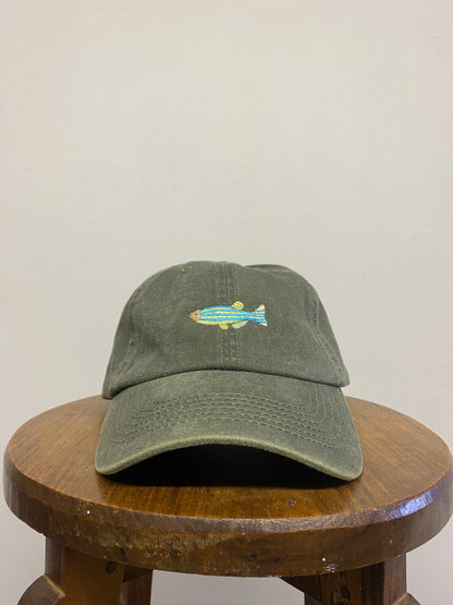 Fish Washed Cap
