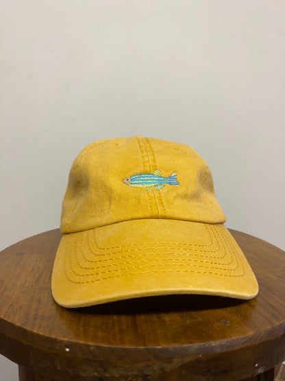 Fish Washed Cap